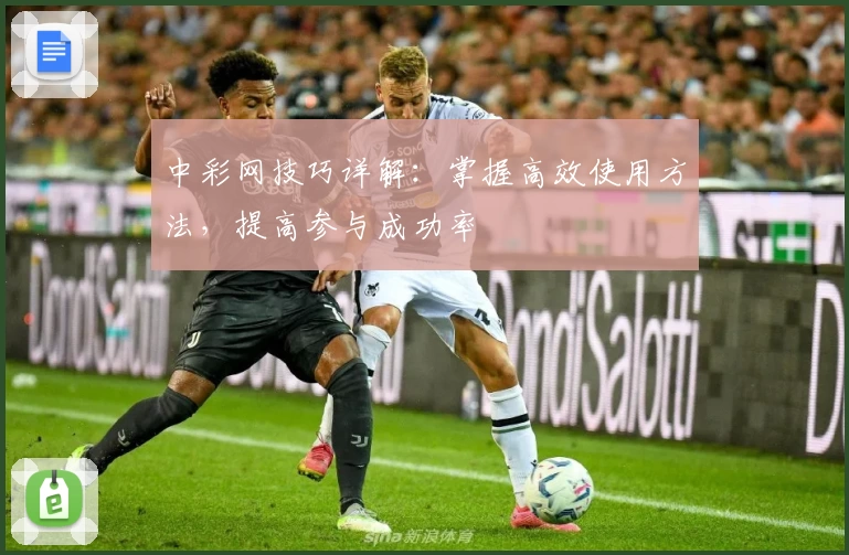 中彩网技巧详解：掌握高效使用方法，提高参与成功率