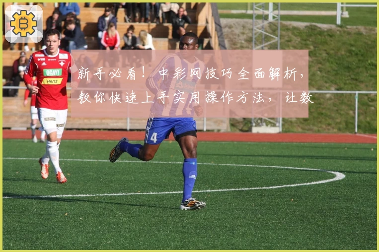 新手必看！中彩网技巧全面解析，教你快速上手实用操作方法，让数据分析更简单