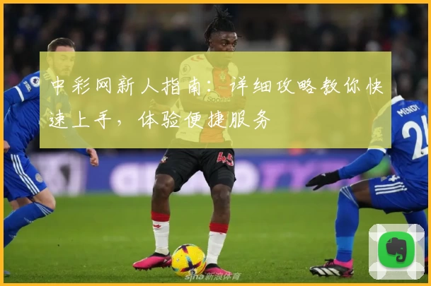 中彩网新人指南：详细攻略教你快速上手，体验便捷服务