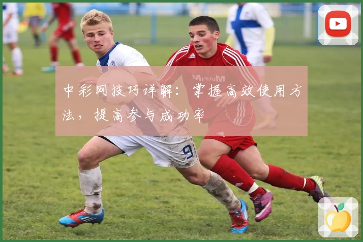 中彩网技巧详解：掌握高效使用方法，提高参与成功率