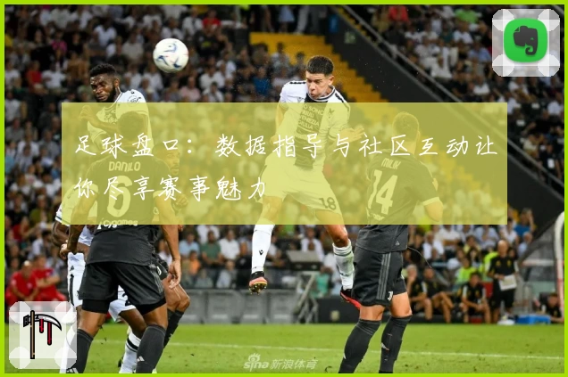 足球盘口：数据指导与社区互动让你尽享赛事魅力