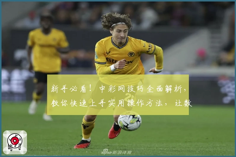 新手必看!中彩网技巧全面解析,教你快速上手实用操作方法,让数据分析更简单