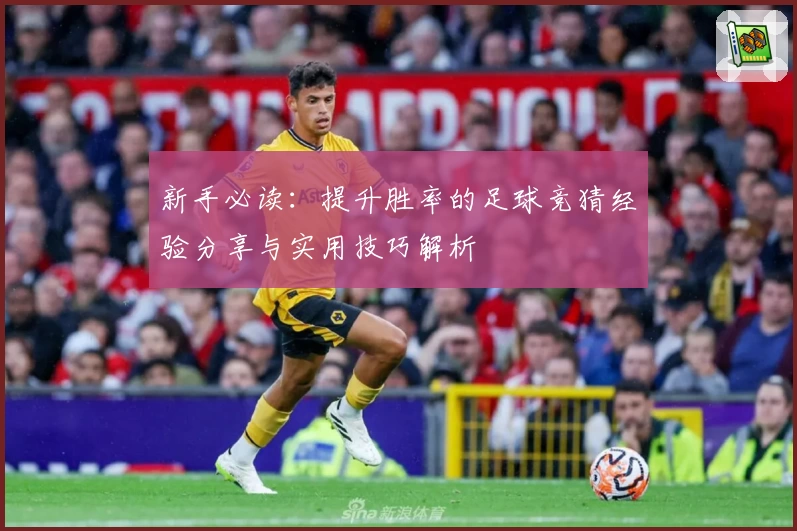 新手必读：提升胜率的足球竞猜经验分享与实用技巧解析